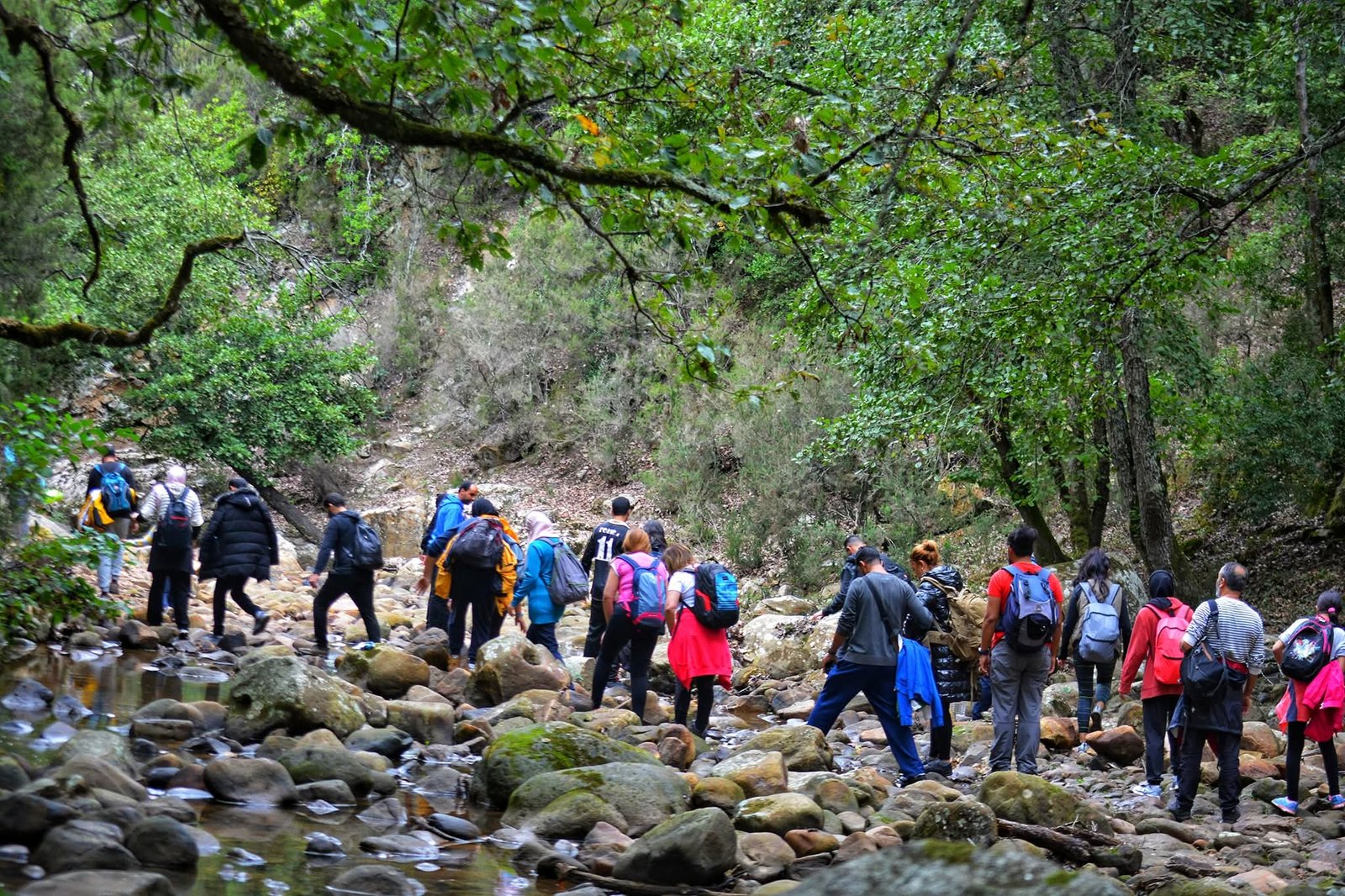 Randonnée et Trekking