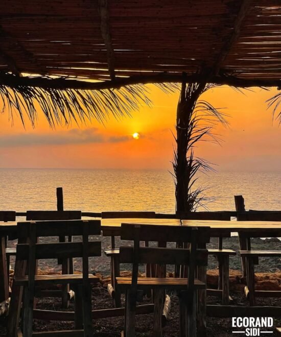 Under the stars of Sidi Mechreg