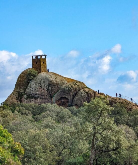 Randonnée au Parc National El Feija