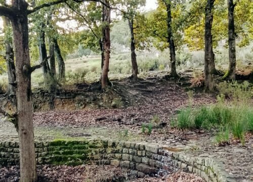 Randonnée Ras El Oued – Néfza