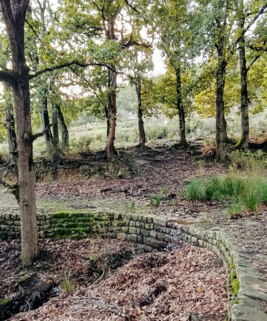 Randonnée Ras El Oued – Néfza