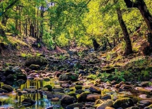 Randonnée Oued Zen – Ain Draham