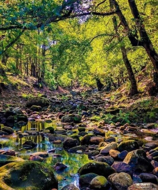 Randonnée Oued Zen – Ain Draham